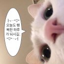 데이,그룸 이미지