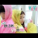 멍냥&꽁냥