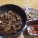 LS어린이집 | 11월 초 육아일상 (하준 어린이집 상담, 영유 입학설명회, 세종호수공원, 엄마 친구 이모네와 세종수목원)