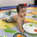 (하반기) 오감발달놀이_8~15개월 | 8개월 아기 백화점 문센 정착 후기(8-15개월반, 선생님 매우 좋아함 ㅋㅋ)