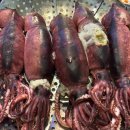 맛짱마실 이미지