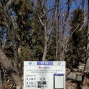 석탑 약수터 이미지