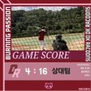 라쿤즈 이미지