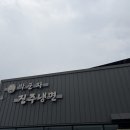 박군자진주냉면 - 진주시 진주대로 66 | 박군자 진주냉면 후기, 물냉면과 찐만두 솔직 리뷰