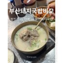 부산돼지국밥 | 초기 임산부 국내여행 | 부산 돼지 국밥 비교 후기 정짓간 vs 안목 vs 본전돼지국밥