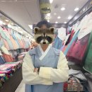 (주)신우텔렉시스 | ♡ W9. (가격공개) 대구 신랑신부 및 혼주 한복...시장 신우주단 내돈내산 대여 후기 +) 실제 촬영본...