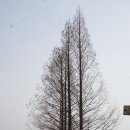 양수리 두물머리길 이미지