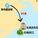 스테이 드래곤 이미지