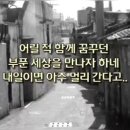 혜화동 이미지