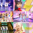 쪼꼬미네 이미지