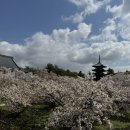 커피베이스 이미지