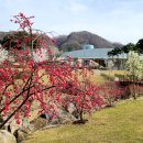 완산(완주) 이미지