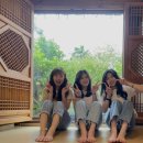 호텔하루2 이미지