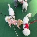 4월도 끝..~