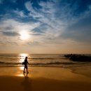 천무유통 이미지