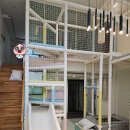 청도굿스파키즈풀빌라 이미지