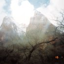 ZION 이미지