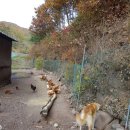 장군농장 이미지