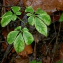 수정농장 이미지