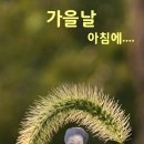 향원 이미지