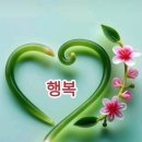 기분좋은하루