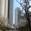 산본사거리(스타벅스 앞) 이미지