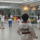 영웅 K타이거즈 태권도장 이미지