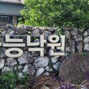 금능낙원