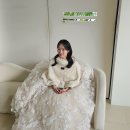 웨딩촬영 후기