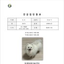 달래동물의료센터 이미지