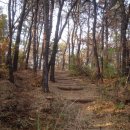 천왕산가든 이미지