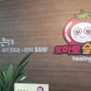 토마토슬라임 이미지