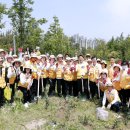 희망나무심기5 이미지