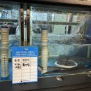 내포풍천장어 이미지