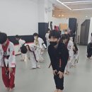 동아대하이태권도 이미지