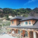 길손과 풀꽃 이미지