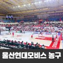 현대용체육관 | 울산 현대 모비스 농구 경기 직관 후기 농구예매 동천체육관 명당자리 음식물반입