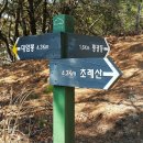 팔공산녹색길 숲길 2코스 이미지