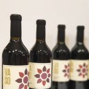 바소(VASO) 네이버블로그