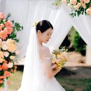 라잇플라워 이미지