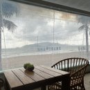 2023년 12월 20일 냐짱 날씨/악마의 잼 Devi's jam/세일링 클럽 sailing club