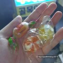 애자네소머리국밥 | 오천항 쭈꾸미낚시 팀베테랑호 후기!(꿀팁 공유)