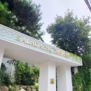 소중한 댕 이미지