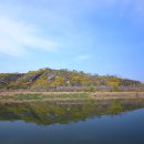 동산사슴목장 이미지