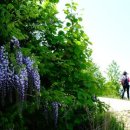 중담1주차장 이미지