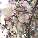 의창-북면-6-비-3 이미지