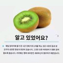 🏥 건강 정보& 흡연자 디톡스 이미지