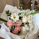 웬즈데이플레르
