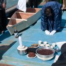 보령 품태권도 이미지