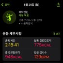 망원나들목체육관 | 아이번주배드민턴만쳤지